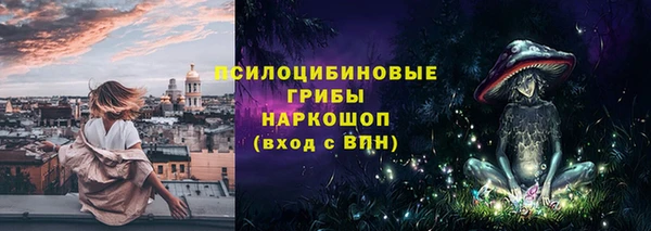 apvp Заволжье