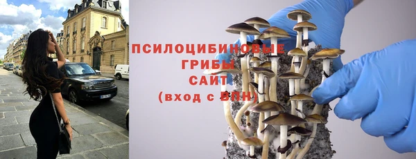 ПСИЛОЦИБИНОВЫЕ ГРИБЫ Заволжск