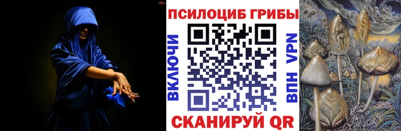 Галлюциногенные грибы Psilocybe  Купить  Копейск 